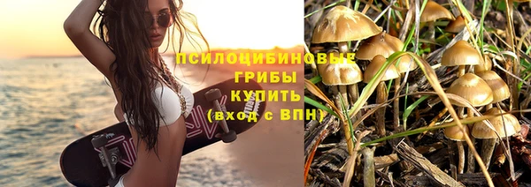 Альфа ПВП Алзамай