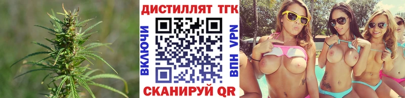 ссылка на мегу онион  Александров  ТГК THC oil  купить наркотик 