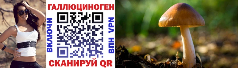 Псилоцибиновые грибы GOLDEN TEACHER  MEGA зеркало  Александров 
